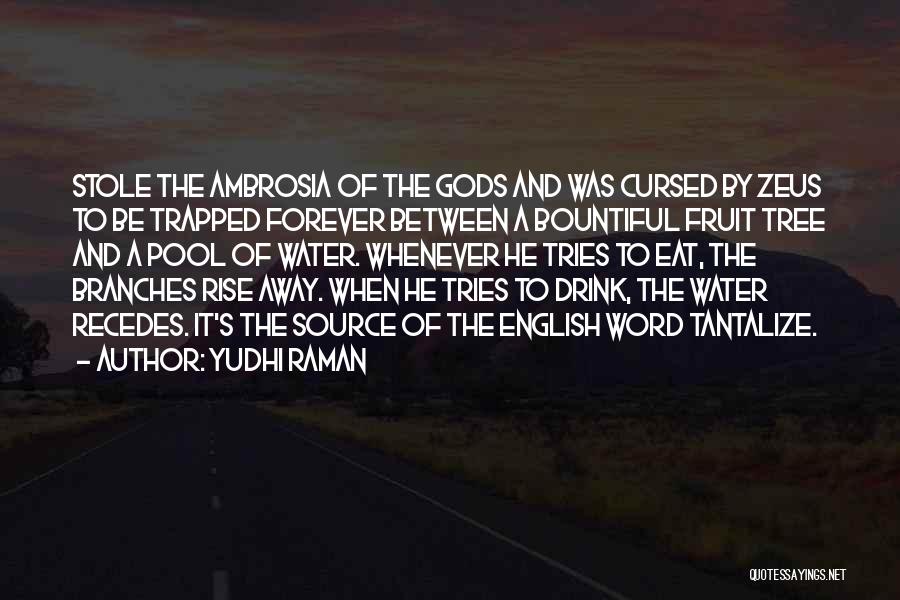 Raman Quotes By Yudhi Raman