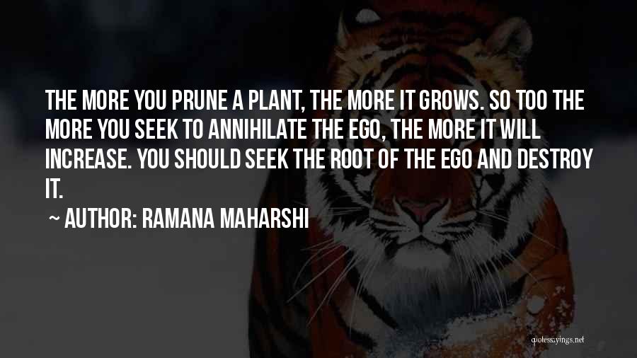 Ramana Maharshi Quotes 932501