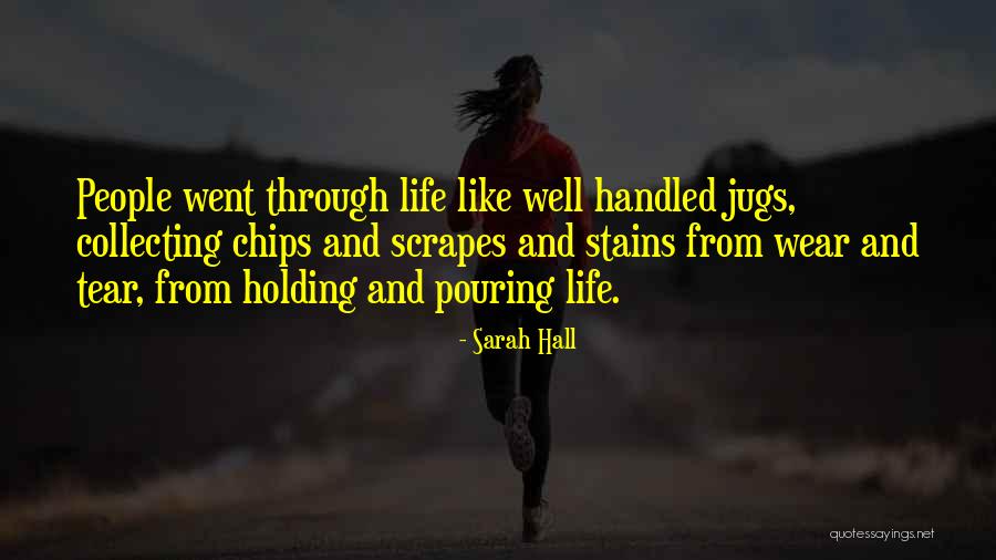 Ramannapet Quotes By Sarah Hall Ramannapet Quotes By Sarah Hall