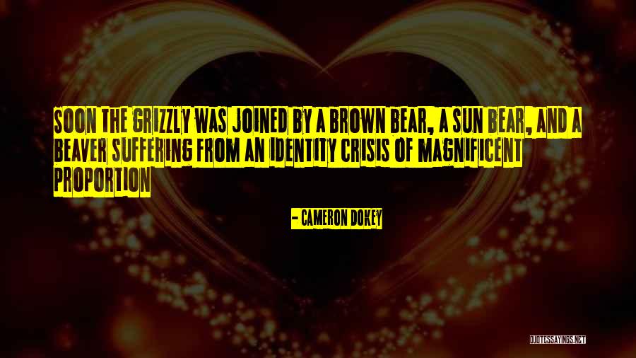 Ramassery Quotes By Cameron Dokey Ramassery Quotes By Cameron Dokey