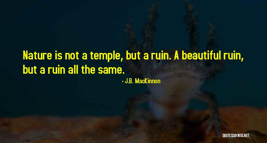 Ramayan Wedding Quotes By J.B. MacKinnon