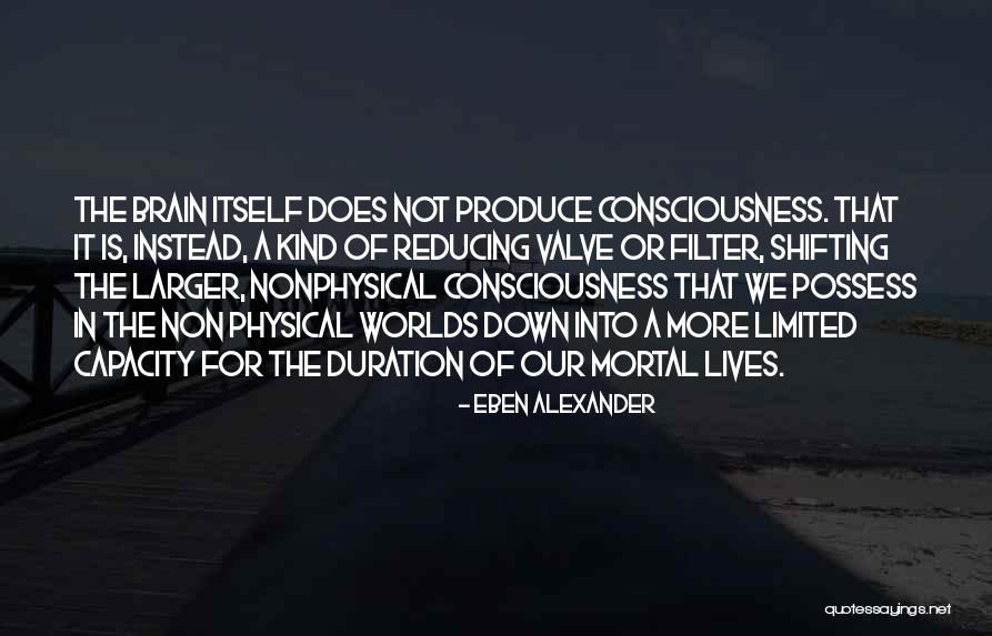 Rambaldi Valeriani Quotes By Eben Alexander Rambaldi Valeriani Quotes By Eben Alexander