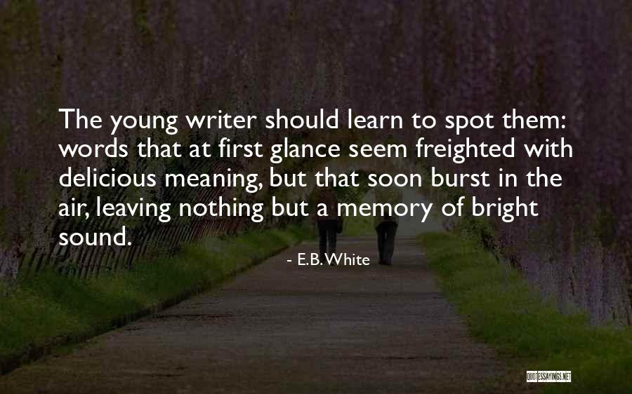 Ramblings Of A Writer Quotes By E.B. White Ramblings Of A Writer Quotes By E.B. White