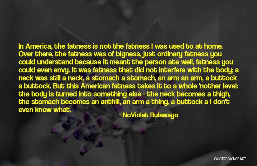 Ramdasia Quotes By NoViolet Bulawayo Ramdasia Quotes By NoViolet Bulawayo