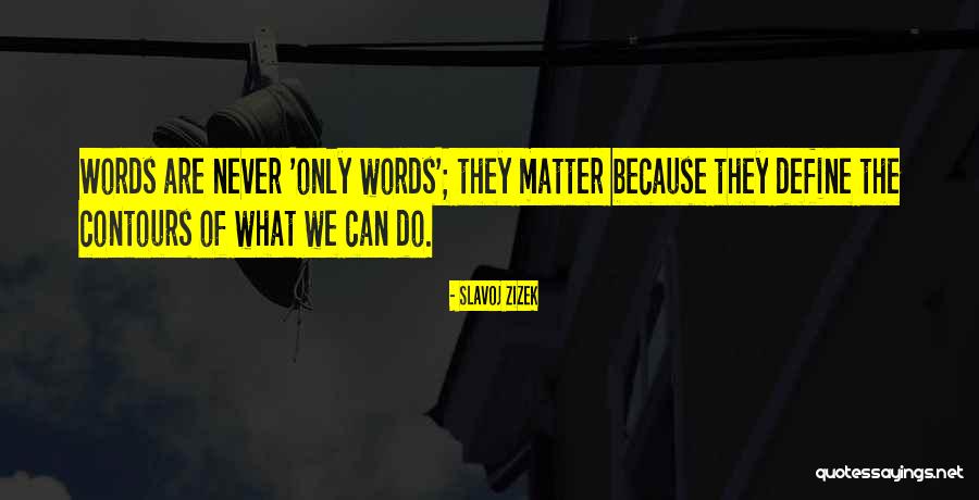 Ramdev Ji Aarti Quotes By Slavoj Zizek Ramdev Ji Aarti Quotes By Slavoj Zizek