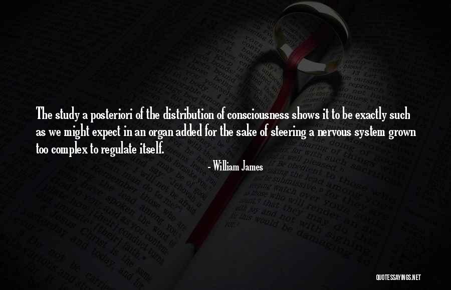 Ramdevji Song Quotes By William James Ramdevji Song Quotes By William James