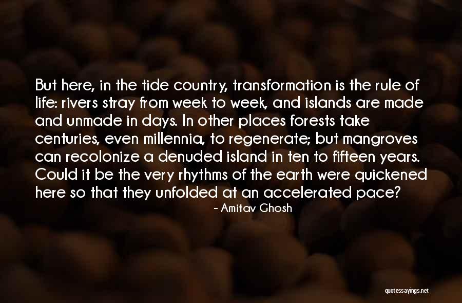 Rametta Audiology Quotes By Amitav Ghosh Rametta Audiology Quotes By Amitav Ghosh