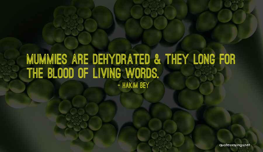 Ramistella Surname Quotes By Hakim Bey Ramistella Surname Quotes By Hakim Bey