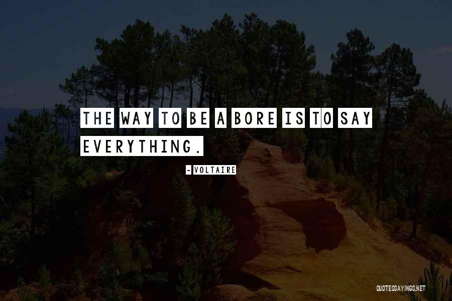 Ramlee Awang Quotes By Voltaire Ramlee Awang Quotes By Voltaire