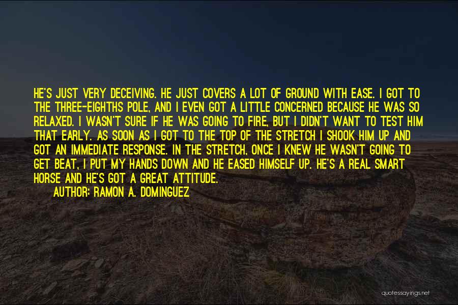 Ramon A. Dominguez Quotes 721082