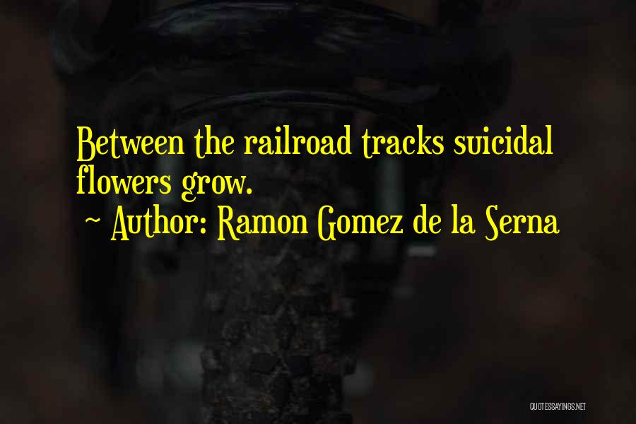 Ramon Gomez De La Serna Quotes 1220632