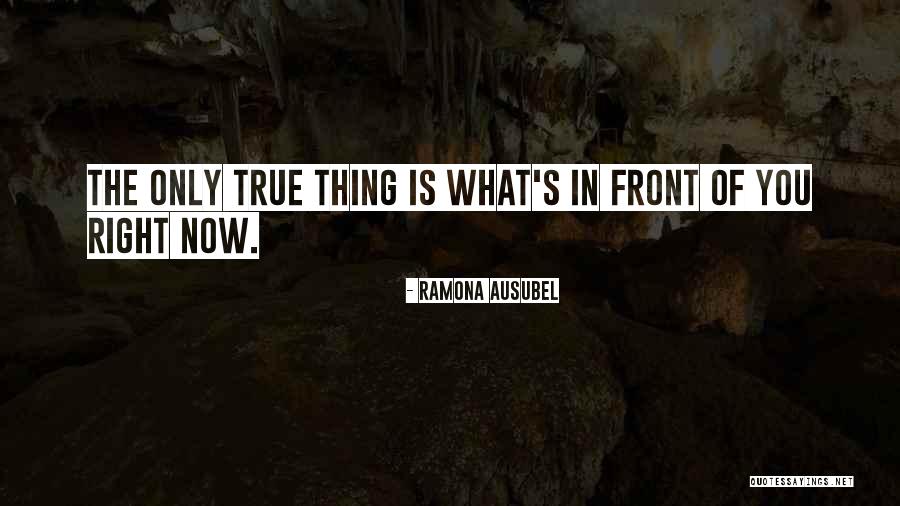 Ramona Ausubel Quotes 1015047 Ramona Ausubel Quotes 1015047