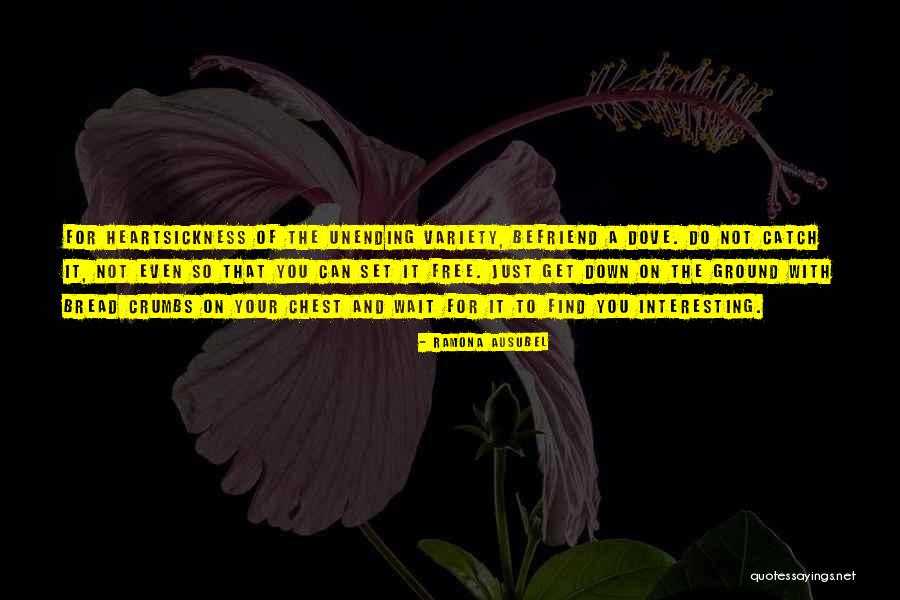 Ramona Ausubel Quotes 395392 Ramona Ausubel Quotes 395392