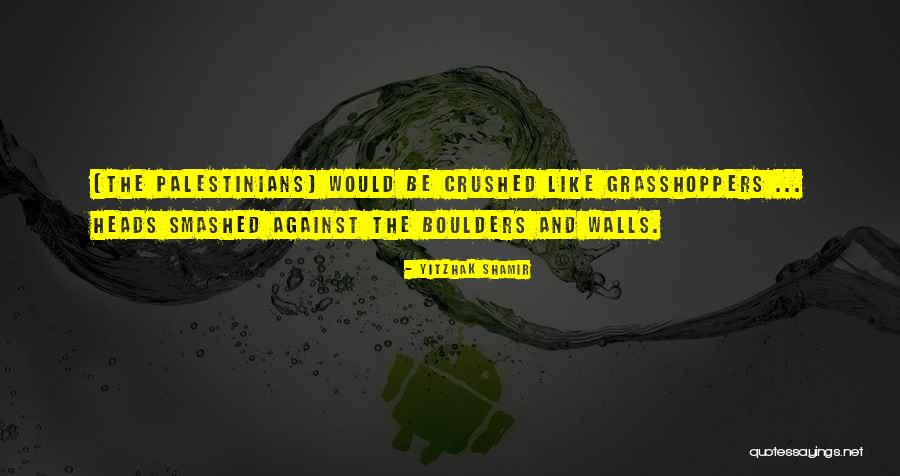 Ramota Bashorun Quotes By Yitzhak Shamir Ramota Bashorun Quotes By Yitzhak Shamir