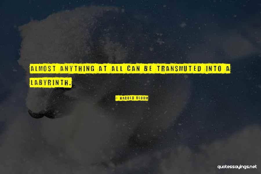 Rampages Vice Quotes By Harold Bloom Rampages Vice Quotes By Harold Bloom