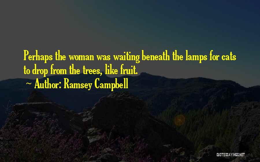 Ramsey Campbell Quotes 692876