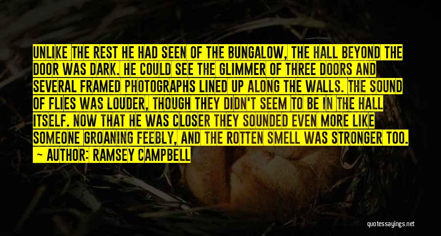 Ramsey Campbell Quotes 954756