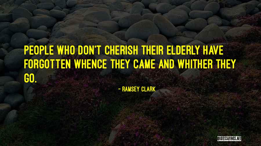 Ramsey Clark Quotes 942503