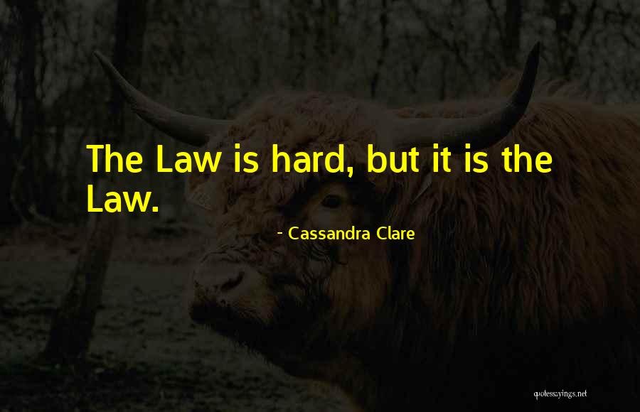 Ramsis Engineering Quotes By Cassandra Clare Ramsis Engineering Quotes By Cassandra Clare