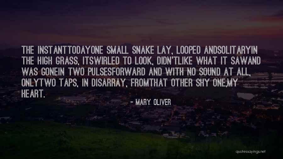 Ramus Artery Quotes By Mary Oliver Ramus Artery Quotes By Mary Oliver
