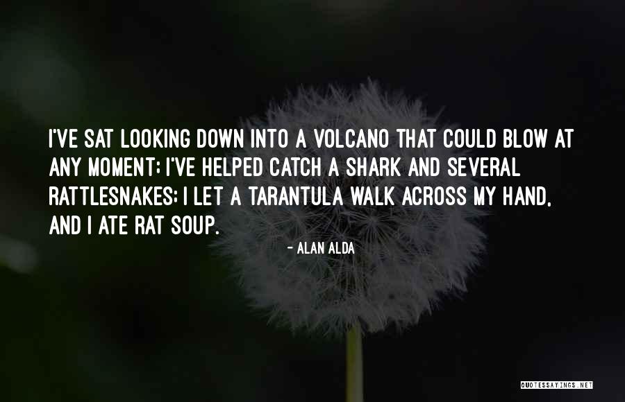 Ranallis Of Andersonville Quotes By Alan Alda Ranallis Of Andersonville Quotes By Alan Alda