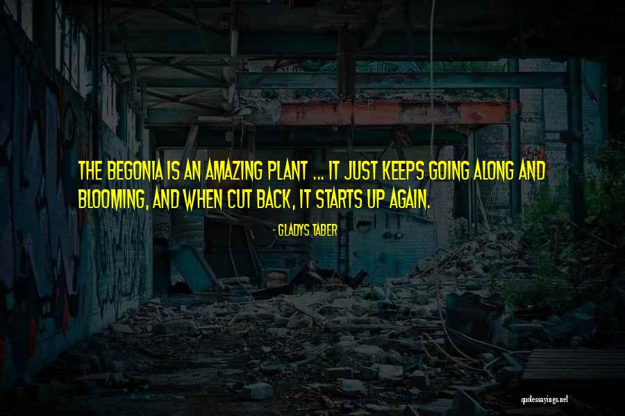 Rancapino Chico Quotes By Gladys Taber Rancapino Chico Quotes By Gladys Taber