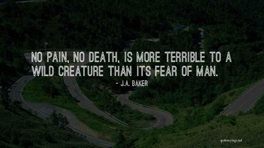 Rancier Photography Quotes By J.A. Baker Rancier Photography Quotes By J.A. Baker