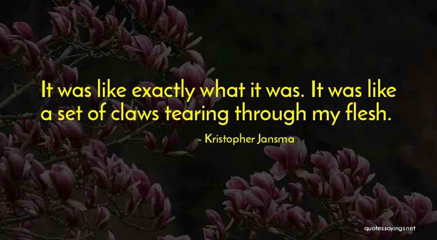Randaccio Mirror Quotes By Kristopher Jansma Randaccio Mirror Quotes By Kristopher Jansma