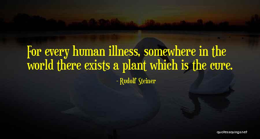 Randalls Just For U Quotes By Rudolf Steiner Randalls Just For U Quotes By Rudolf Steiner