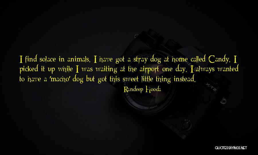 Randeep Hooda Quotes 1751942 Randeep Hooda Quotes 1751942