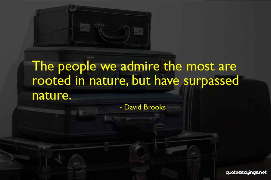 Randesevere Quotes By David Brooks Randesevere Quotes By David Brooks