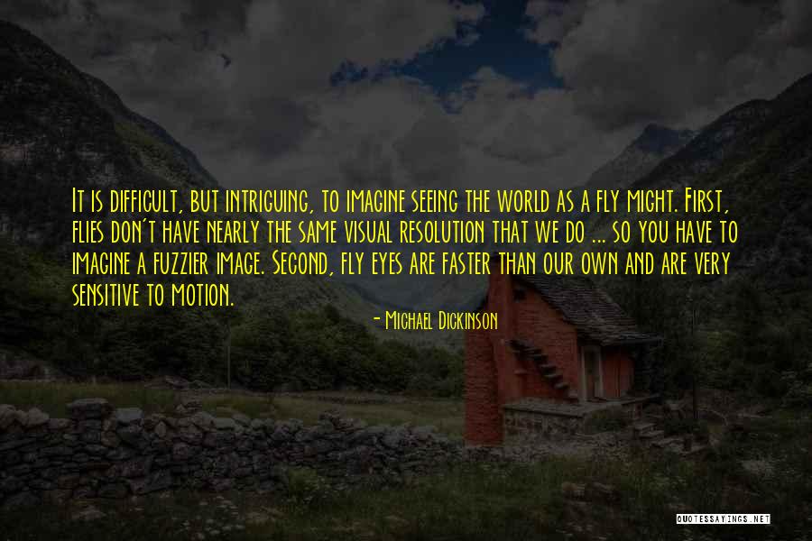 Randi Girl Quotes By Michael Dickinson Randi Girl Quotes By Michael Dickinson