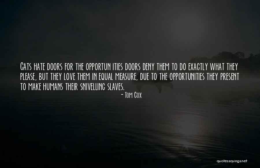 Randmasche Quotes By Tom Cox Randmasche Quotes By Tom Cox