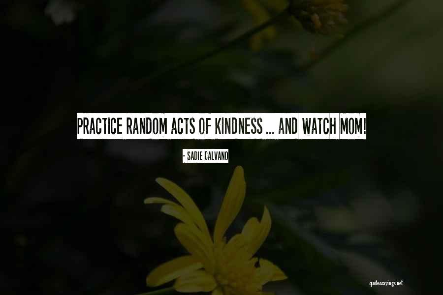 Random Acts Of Kindness Quotes By Sadie Calvano