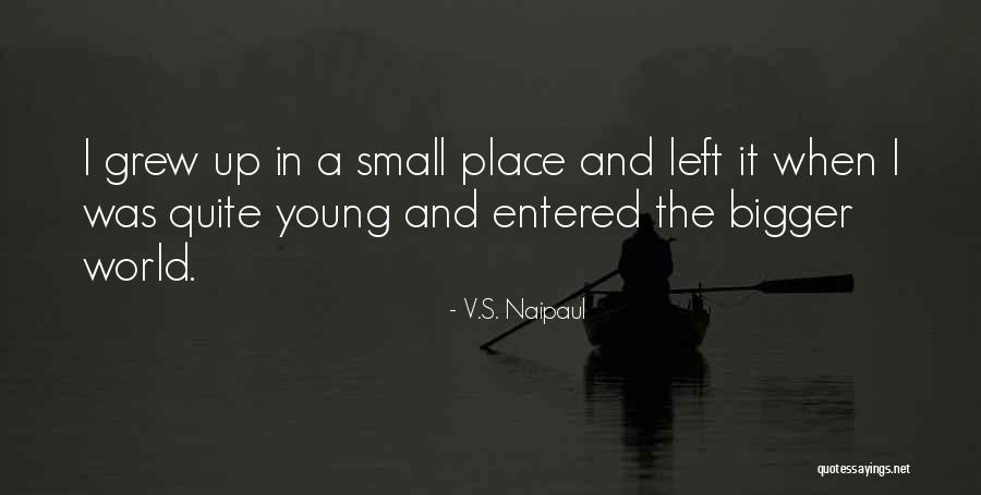 Random Beauty Quotes By V.S. Naipaul Random Beauty Quotes By V.S. Naipaul