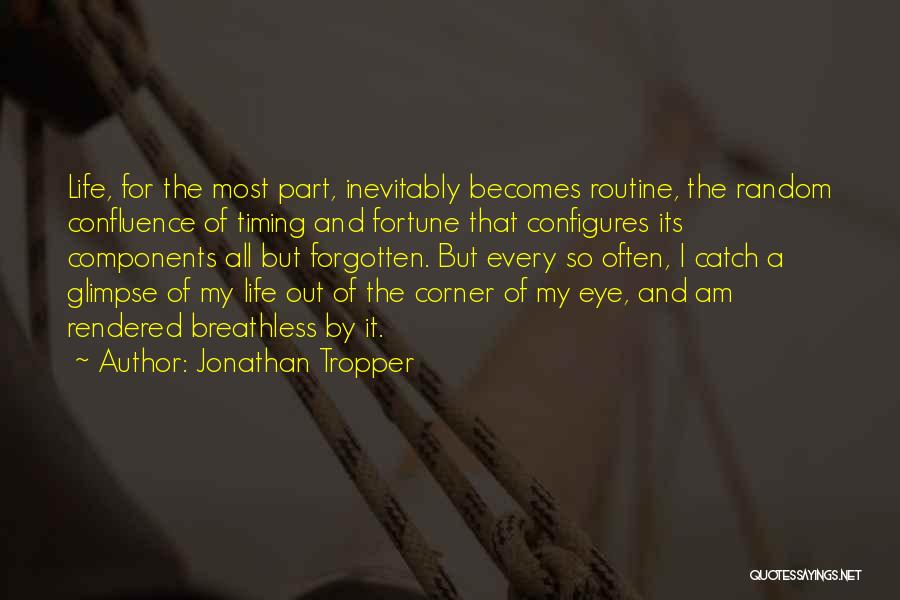 Random Things In Life Quotes By Jonathan Tropper