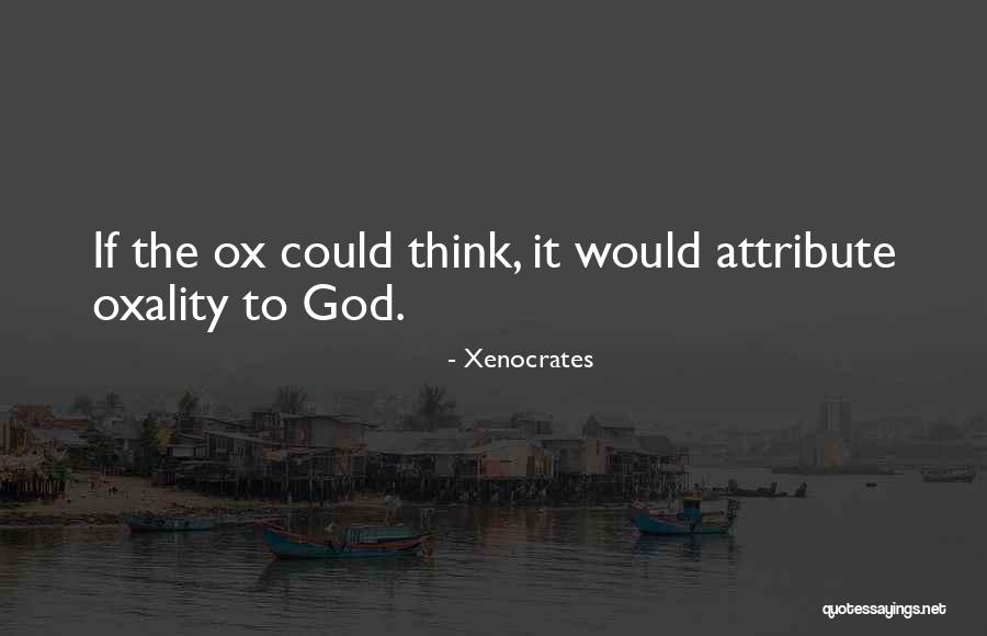 Randomizing Questions Quotes By Xenocrates