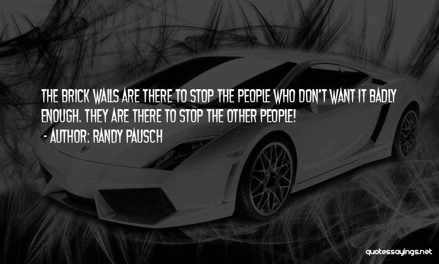 Randy Pausch Quotes 113153