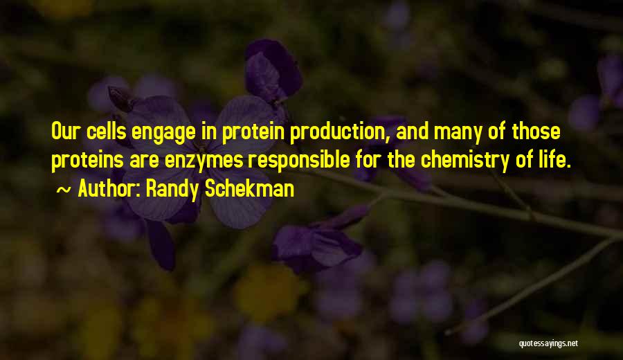 Randy Schekman Quotes 1839029