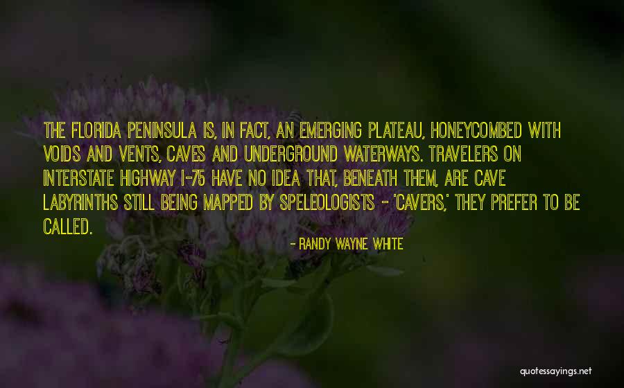Randy Wayne White Quotes 1489242 Randy Wayne White Quotes 1489242