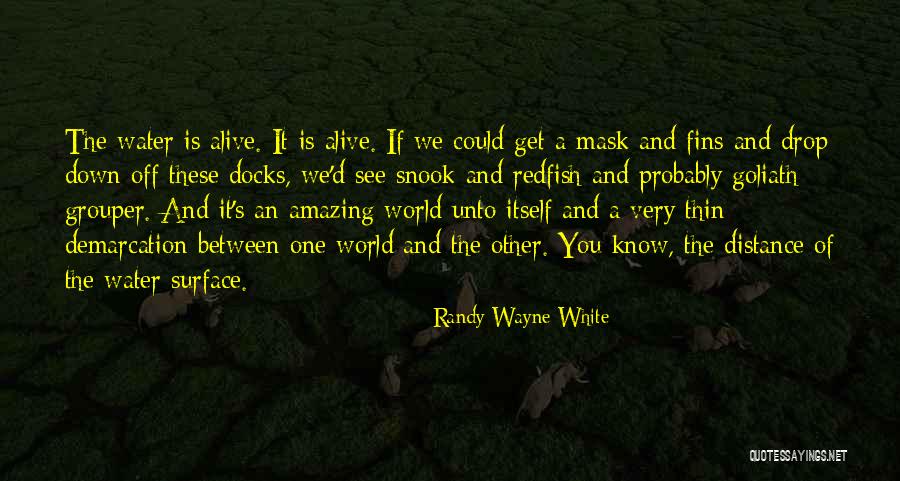 Randy Wayne White Quotes 81452 Randy Wayne White Quotes 81452