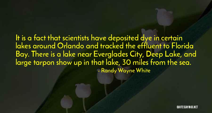 Randy Wayne White Quotes 99156