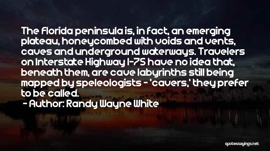 Randy White Quotes By Randy Wayne White