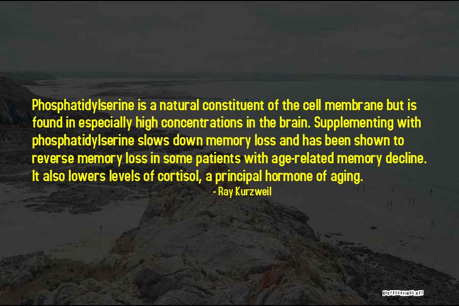Ranelli Deli Quotes By Ray Kurzweil Ranelli Deli Quotes By Ray Kurzweil