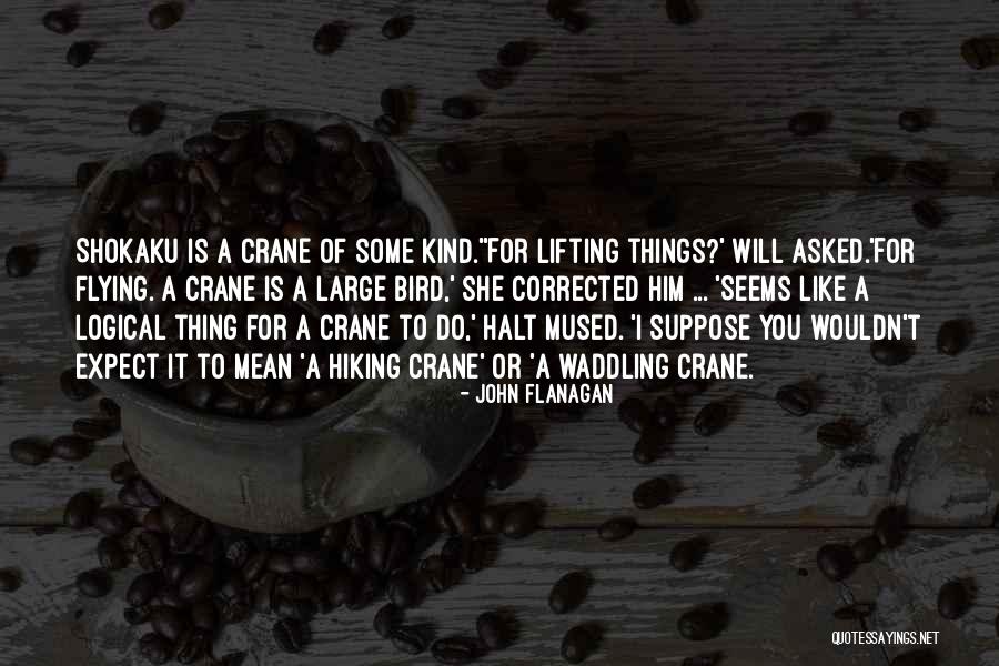 Ranger's Apprentice Quotes By John Flanagan Ranger's Apprentice Quotes By John Flanagan
