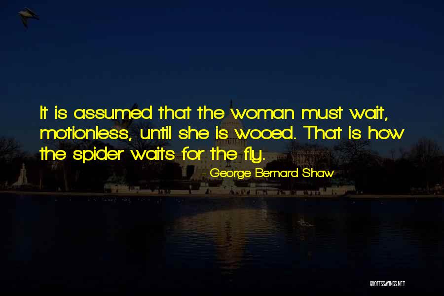 Rangwala Architects Quotes By George Bernard Shaw Rangwala Architects Quotes By George Bernard Shaw