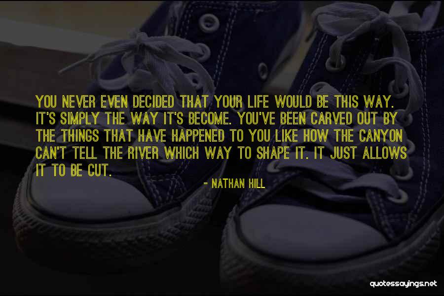 Ranjith Singer Quotes By Nathan Hill Ranjith Singer Quotes By Nathan Hill