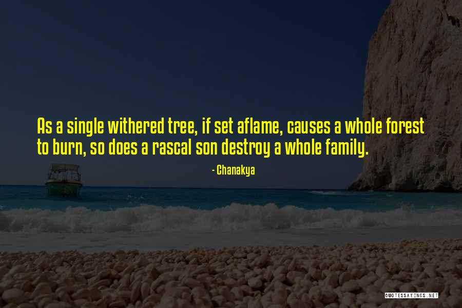 Ranjivo Cvijece Quotes By Chanakya Ranjivo Cvijece Quotes By Chanakya