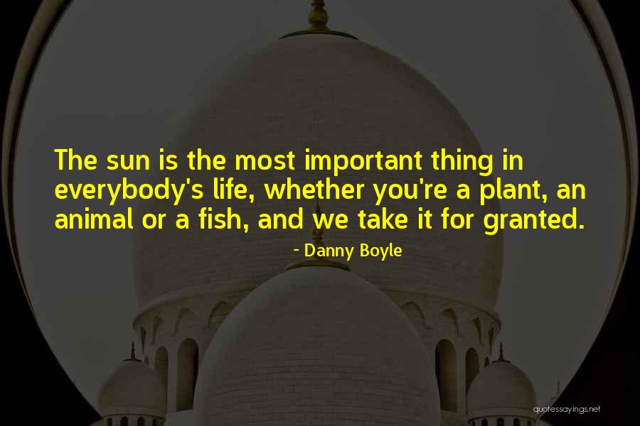 Rankovic Pekara Quotes By Danny Boyle Rankovic Pekara Quotes By Danny Boyle