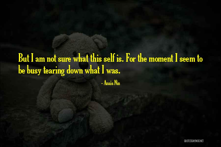 Ranten Dbz Quotes By Anais Nin Ranten Dbz Quotes By Anais Nin